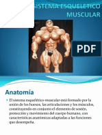 1 SISTEMA ESQUELETICOMUSCULAR derecho.pdf