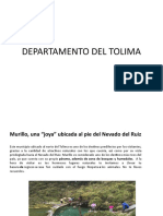 Departamento Del Tolima