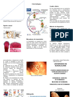 Teniasis Por Taenia Solium - Triptico