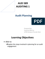 TOPIC 3d - Audit Planning