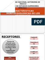 Caracteristicas de Los Receptores