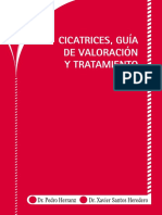 Cicatrices, guía de valoración y tratamiento (Pedro Herranz xavier).pdf