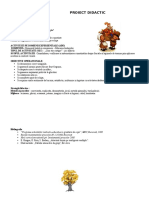 Proiect DLC Inspectie - Copie