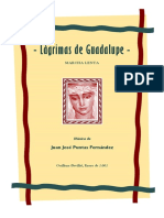 LAGRIMAS DE GUADAUPE (J.J. PUNTAS).pdf