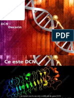 Gena DCN 