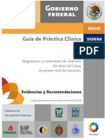 Guia de Practica Clinica STC. Mexico