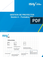 Formatos Pmi