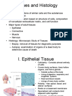 Tissues and Histology: A Concise Guide to Epithelial Tissue Structure and Function