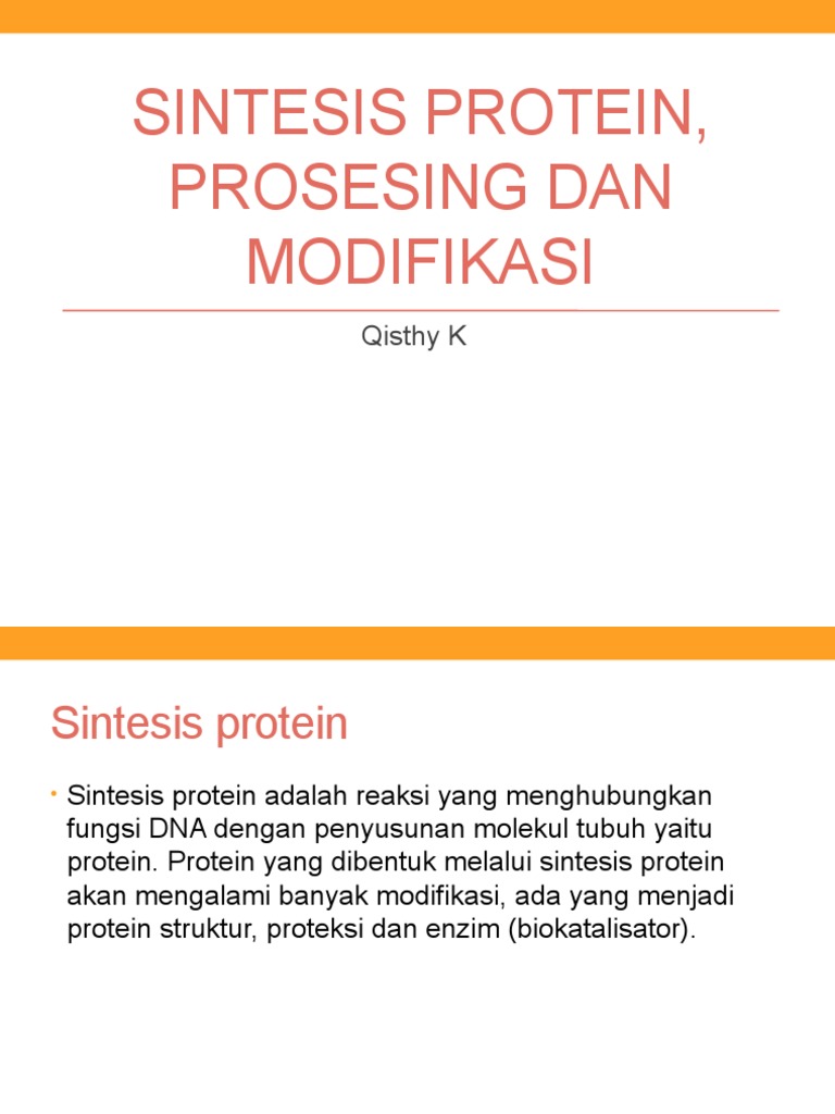 Proses Sintesis dan Modifikasi Protein | PDF | Sains & Matematika