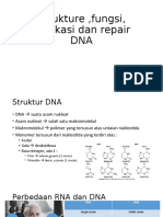 DNA.pptx