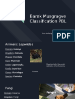 Barek Musgrave Classification PBL