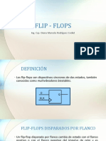Flip Flops PDF
