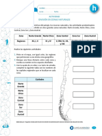 5° Guía n°2 historia.pdf