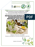 Instructivo Para Entrega de Trabajo de Investigación Plantas Medicinales.