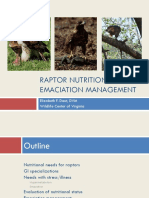 Raptor-Emaciation-Management-and-Nutrition