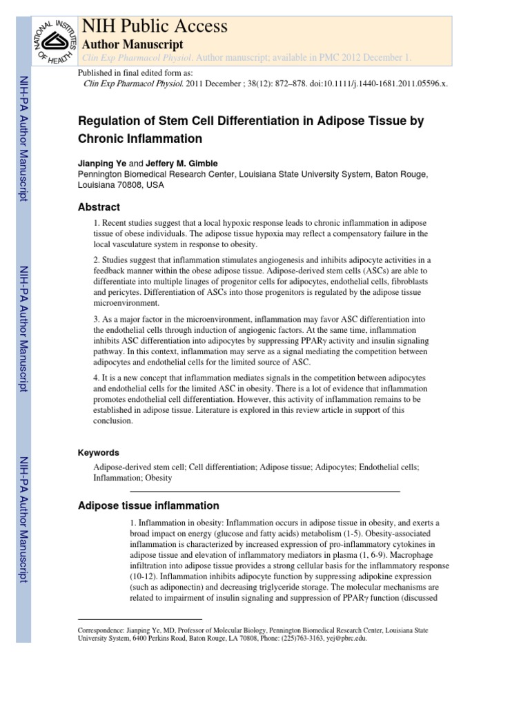 Regulation of Stem Cell Differentiation in Adipose Tissue by Chronic ...