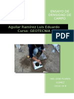 Trabajo Final de Densidad de Campo