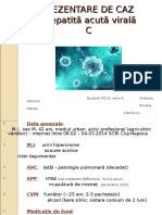 prezentare caz BI office 2003