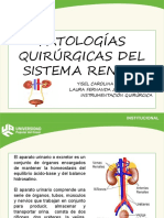 Patologia QX Sistema Renal