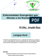 ENFERMEDADES EMERGENTES II.ppt
