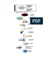 5.3 Roles, Responsabilidades y Autoridades de La Organizaciòn