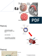 Placenta