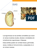 Leguminosas 2020 PDF