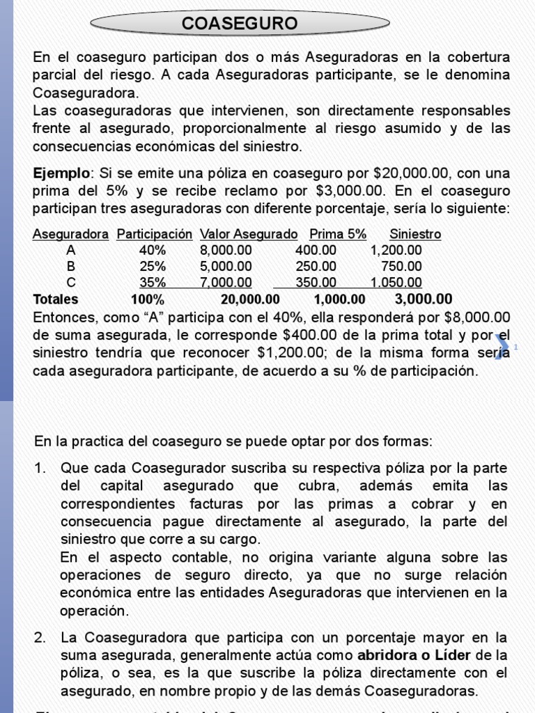 SEGUROS - Coaseguro | PDF | Seguro | Póliza de seguros