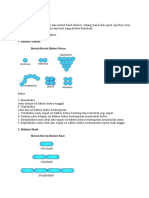 Mikrobiologi Gram Negatif Dan Positif