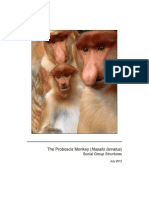 The Proboscis Monkey (Nasalis Larvatus) : Social Group Structures