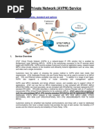 AVPN Overview PDF