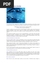 Chuva Temporã e Serôdia