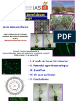 IAS-CSIC - Jesus Mercado PDF