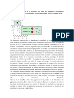 Laboratorio Extraccion 1