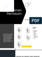 Kelainan Perineum