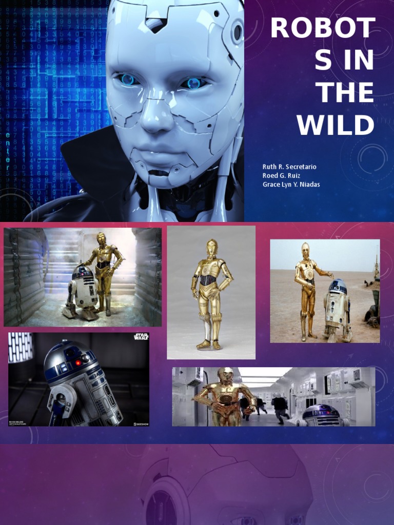 Robot SIN THE Wild: Ruth R. Secretario Roed G. Ruiz Grace Lyn Y. Niadas ...