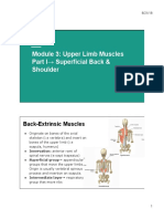 Module 3 - Upper Limb Muscles Part I-Superficial Back and Shoulder Regions