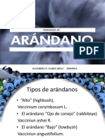 Variedades de Arandanos PDF
