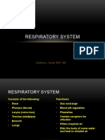 Respiratory System: Clarence L. Nuval, RMT, MD