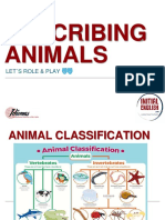 Describing Animals: Let S Role & Play