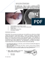 AAOS2002_Anatomy.pdf