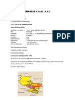 Resumen ejecutivo de la empresa minera Anabi S.A.C