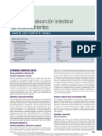 Micronutrientes PDF