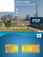 steamblowing.pdf
