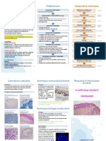 M Co Fi 9 Plaquette - Technique - Standard - Histologie PDF