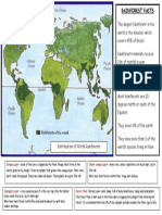 Rainforest Facts: Under Canopy Layer Canopy Layer