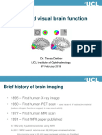 TD fMRI and Visual Brain Function PDF