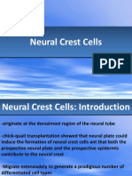 Lect_10_neural_crest_cells_and_axonal_specificity.pdf