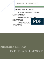 Diferentes Culturas Del Estado de Veracruz (Yuliza)