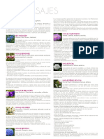 Spa Masaje PDF